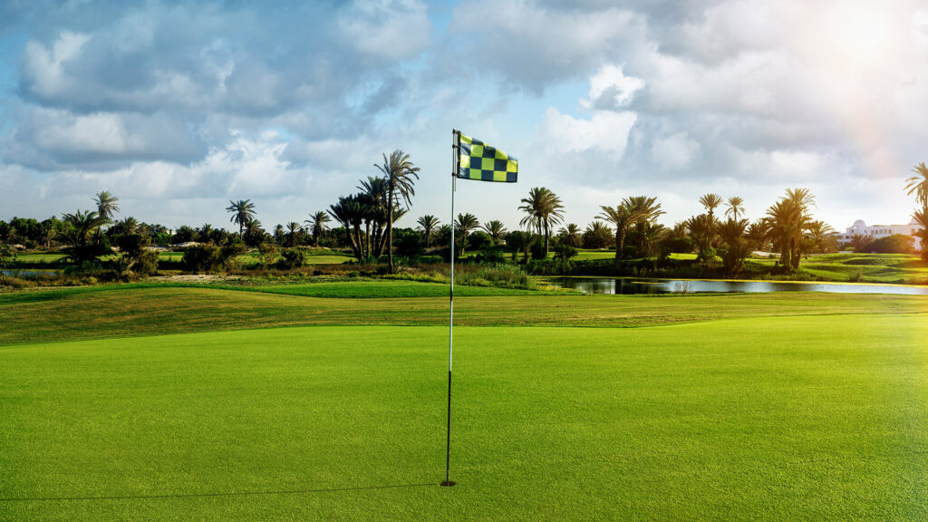 golfback booking engine